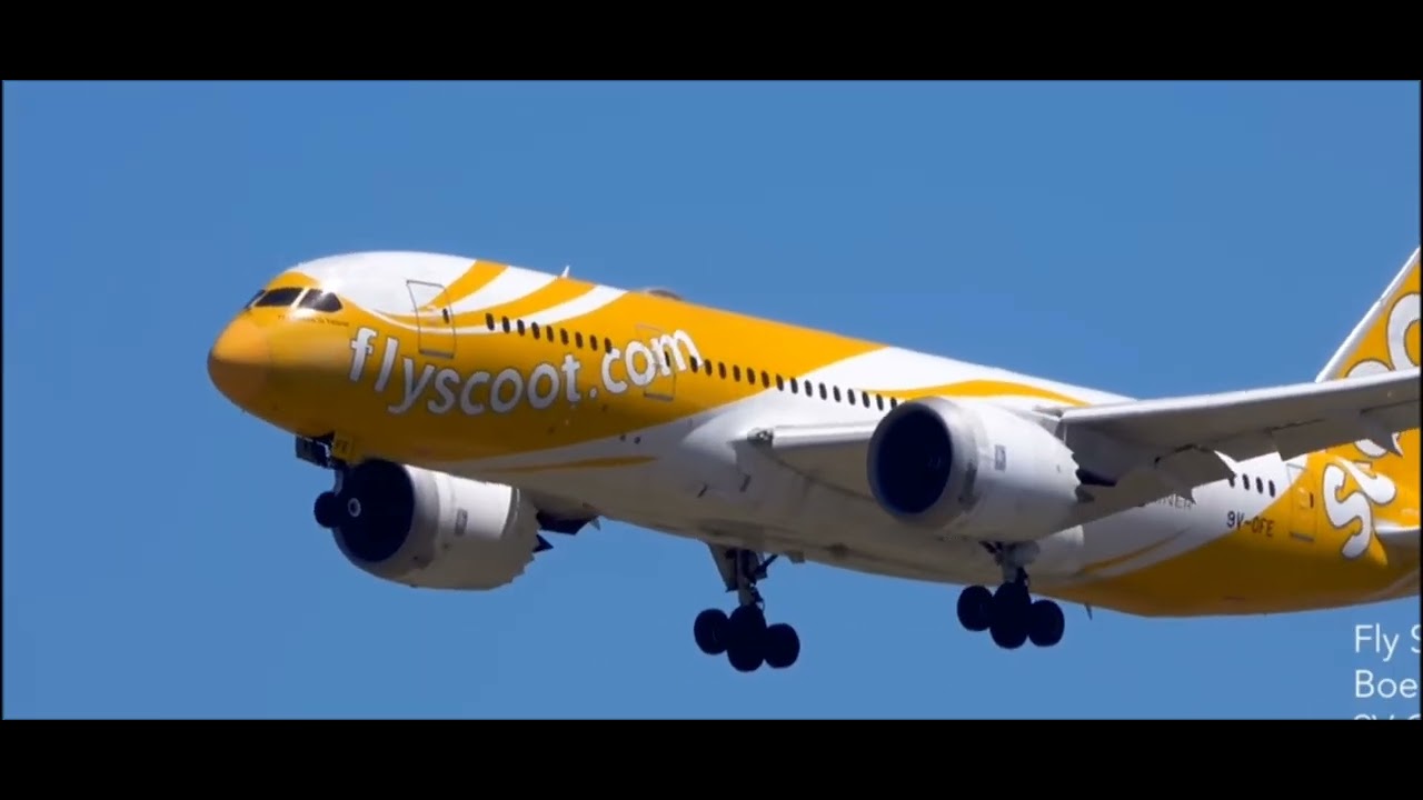 Amazing plane spotting | @aviationswithall 