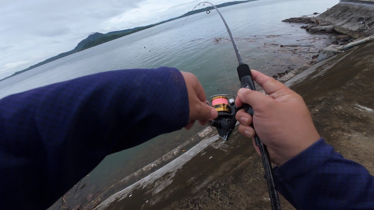 Ajing Fishing Biglang Sumirit FISHING  REEL KO
