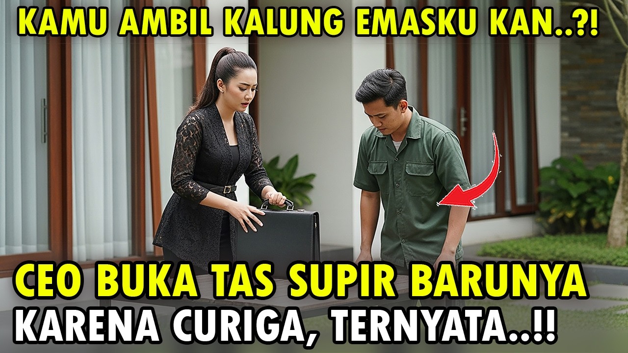 CEO Cantik Terdiam!! Saat Membuka Tas Supir Barunya Karena Curiga, Isi Tas Hitam Itu Ternyata