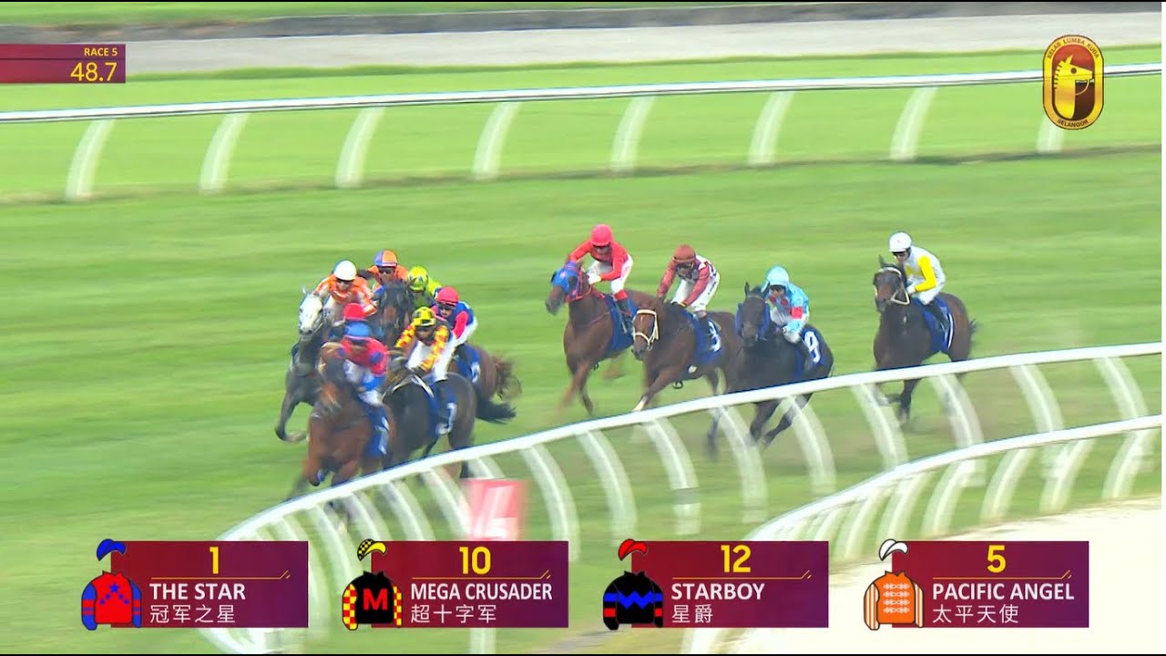 17 JAN 2026 RACE 5