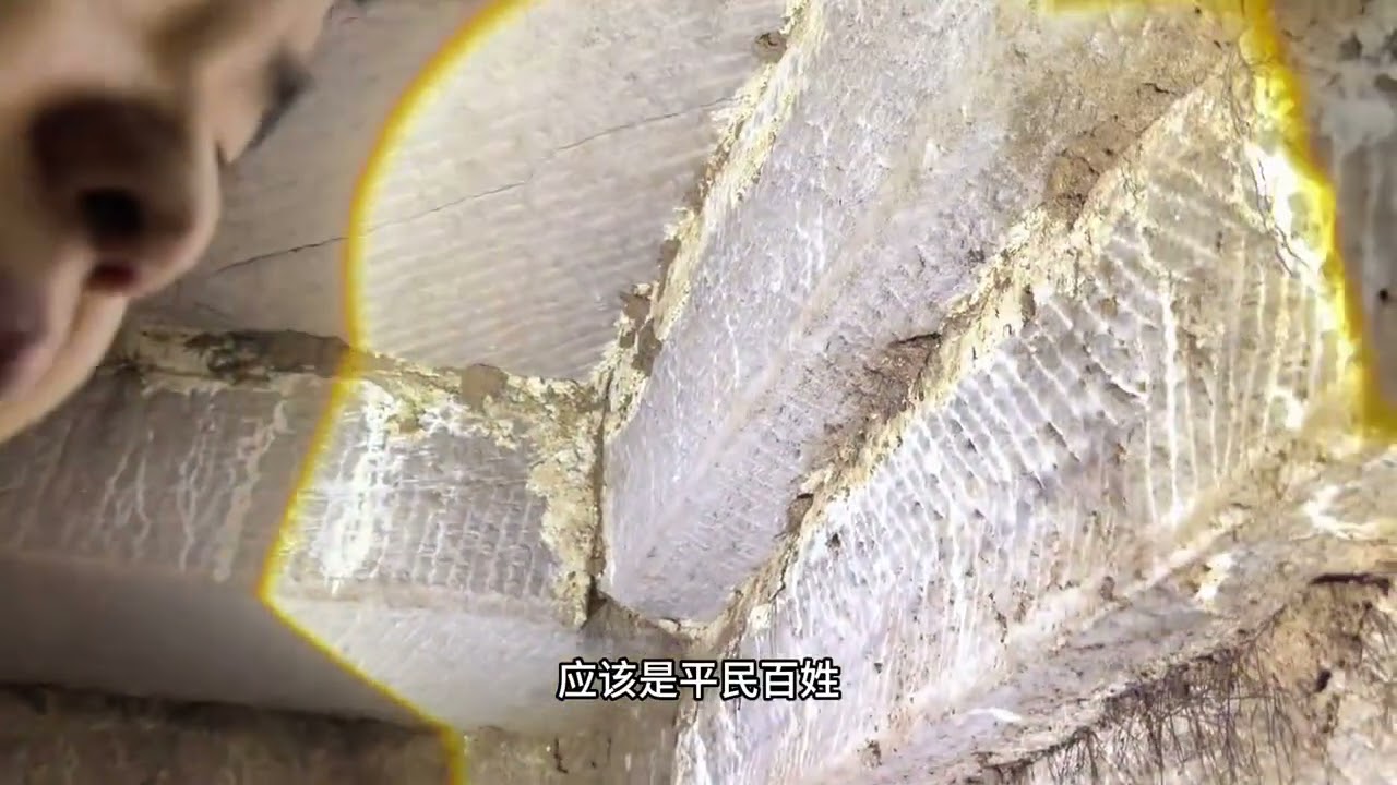 又出现盗洞了，进去看看#探险 #户外 #历史古迹 #考古 #古墓