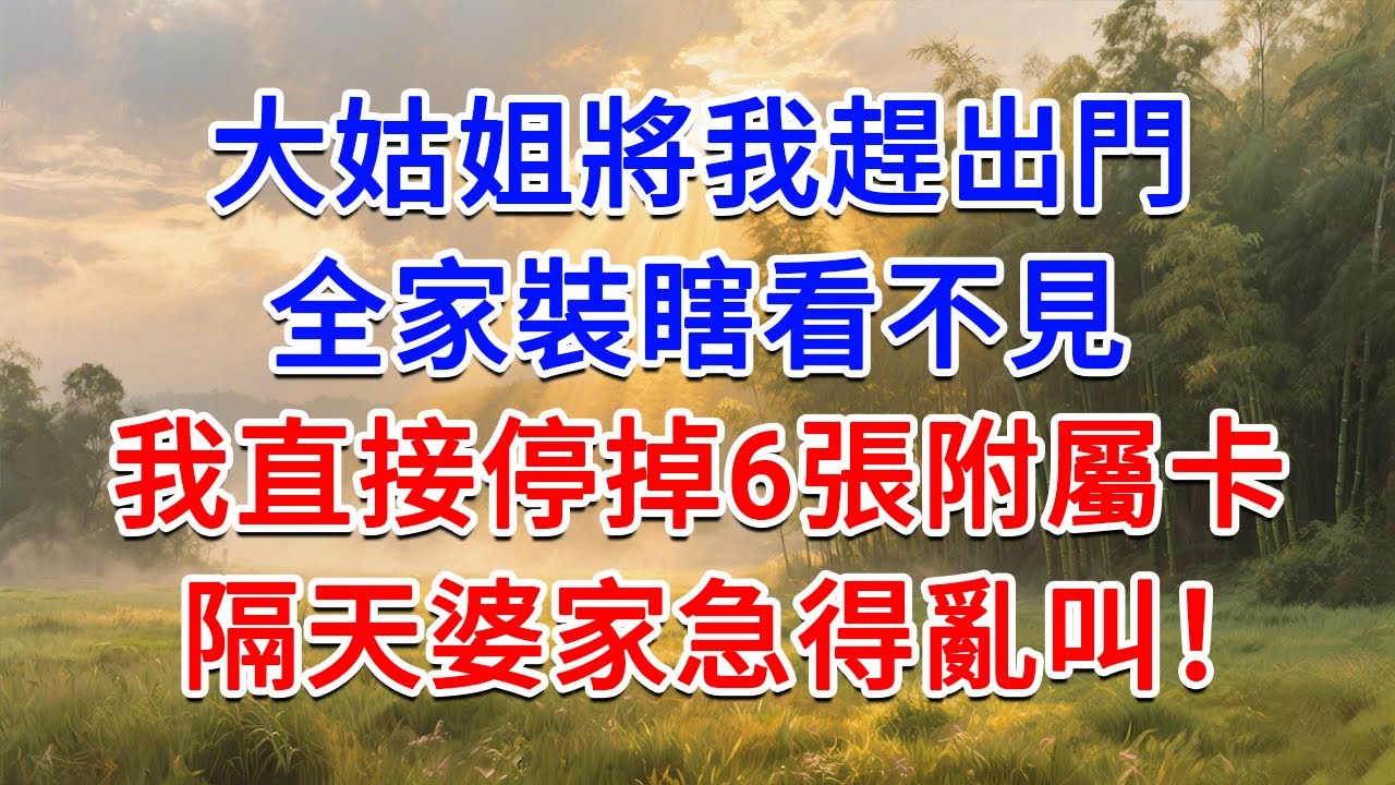 大姑姐將我趕出門，全家裝瞎看不見，我直接停掉6張附屬卡，隔天婆家急得亂叫！#為人處世 #生活經驗 #情感故事 #故事 #小說 #戀愛 #情感 #婚姻