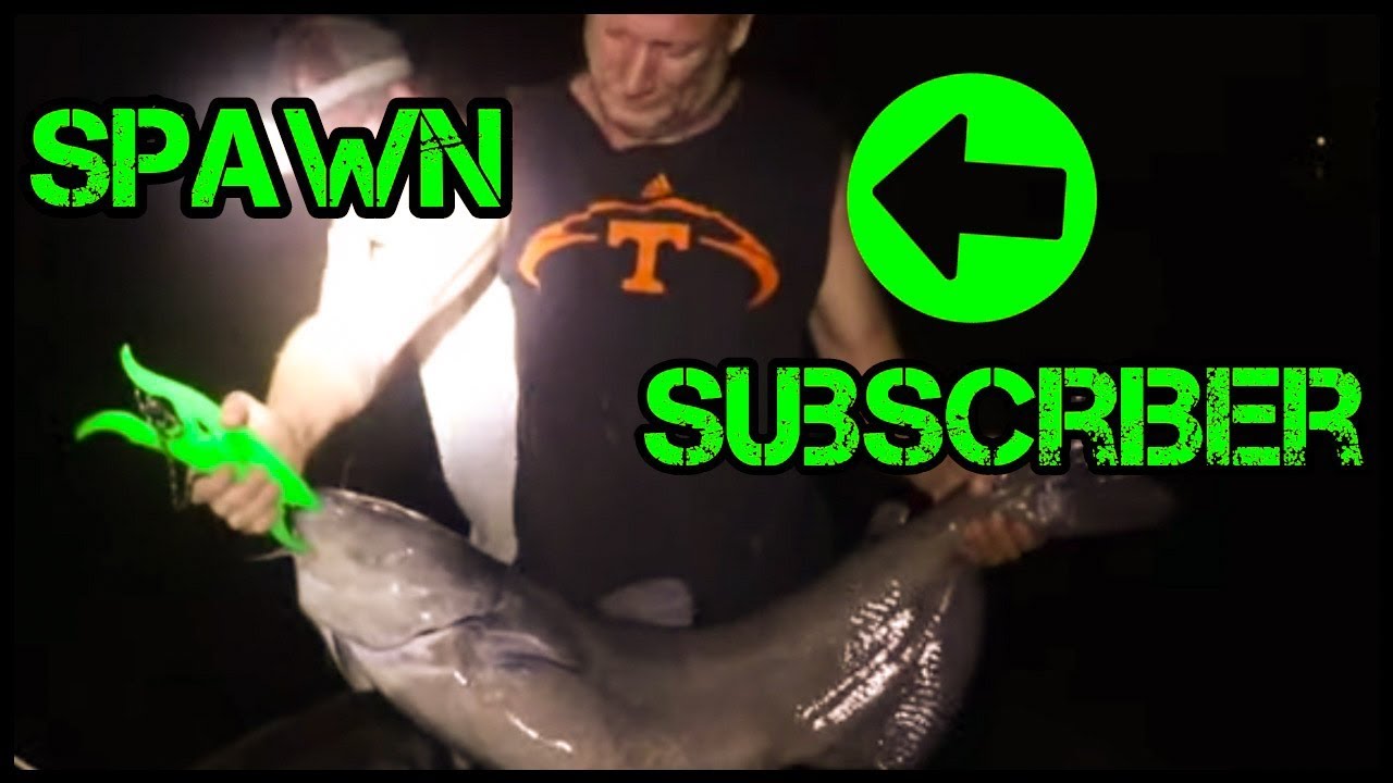 How to catch CATFISH during the SPAWN