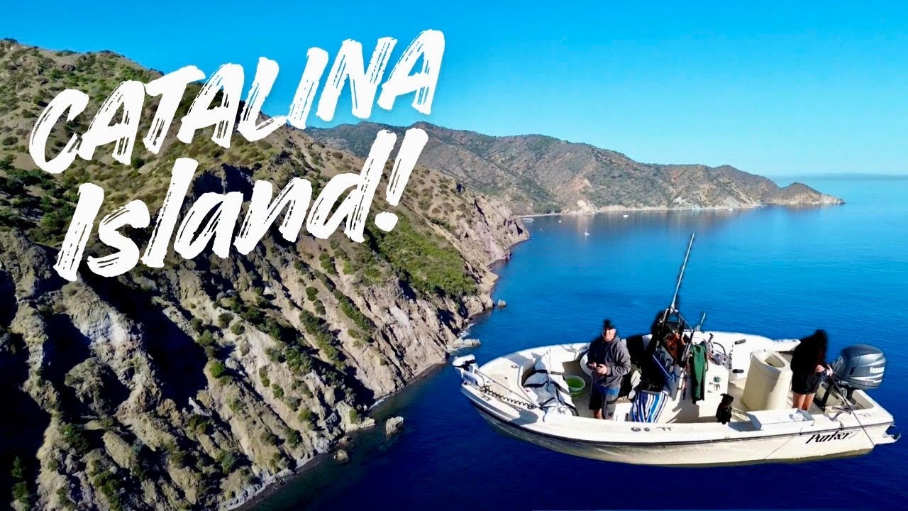 Camping and Fishing Catalina Island: Halibut, Sheephead, Yellowtail & More!