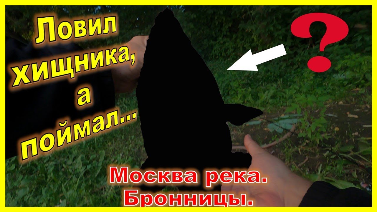 Ловил хищника на микроджиг, а поймал...Москва река, Бронницы, реванш.