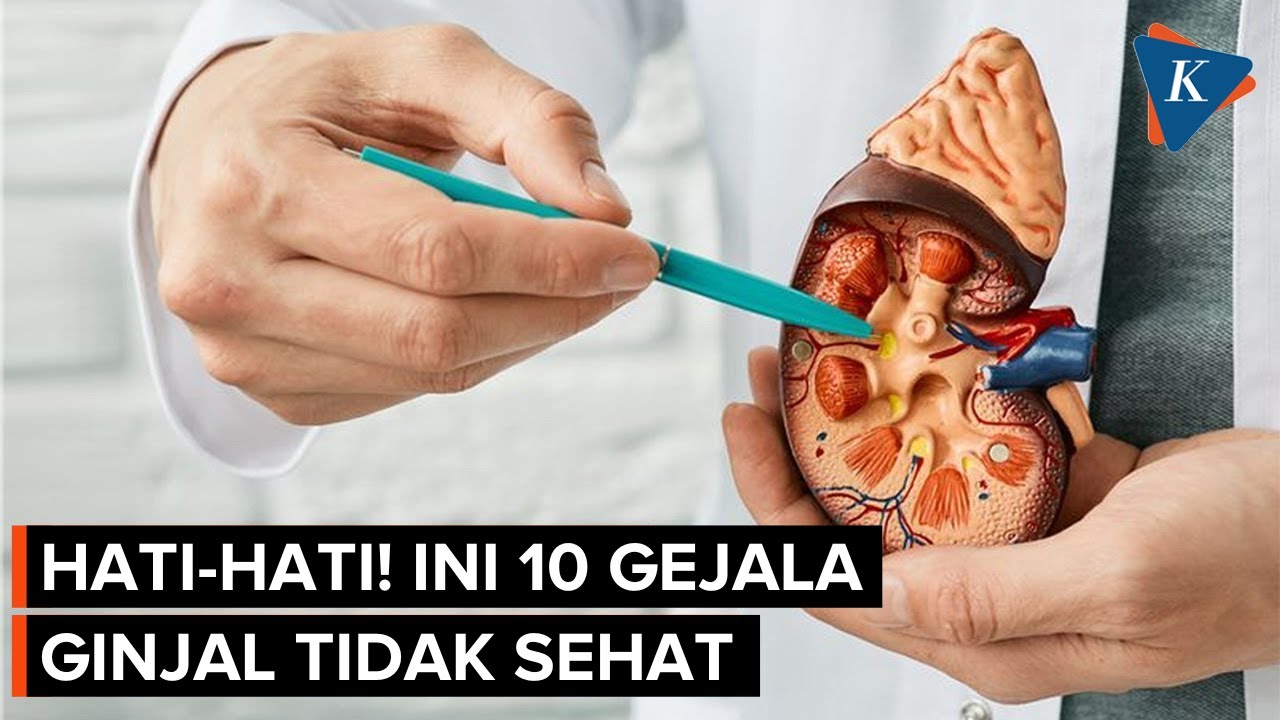 Ketahui Gejala Ginjal yang Tidak Sehat