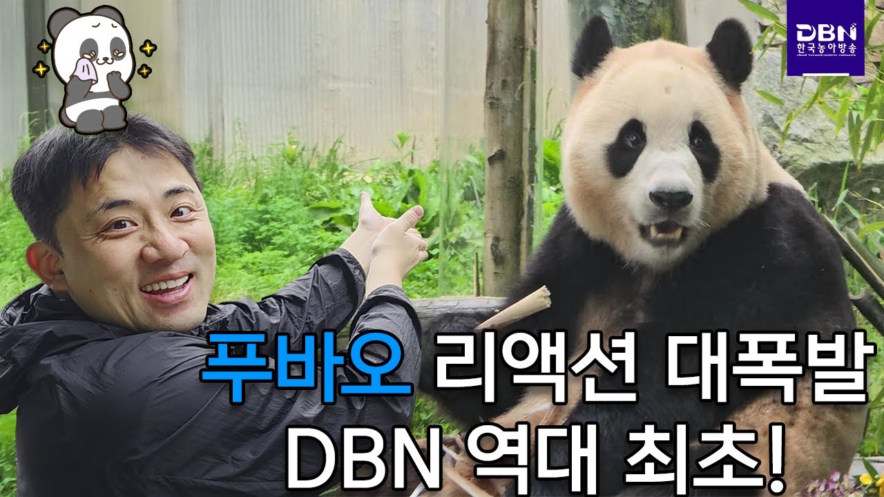 [수어매거진] 중국편 마지막부ㅣ중국농인들이 제일 보고 싶어한 푸바오
