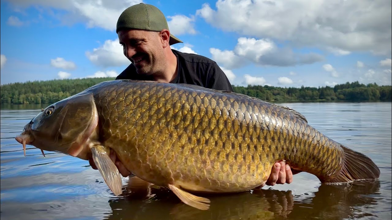Karpfenangeln in Frankreich - TRAUMSESSION am großen Waldsee