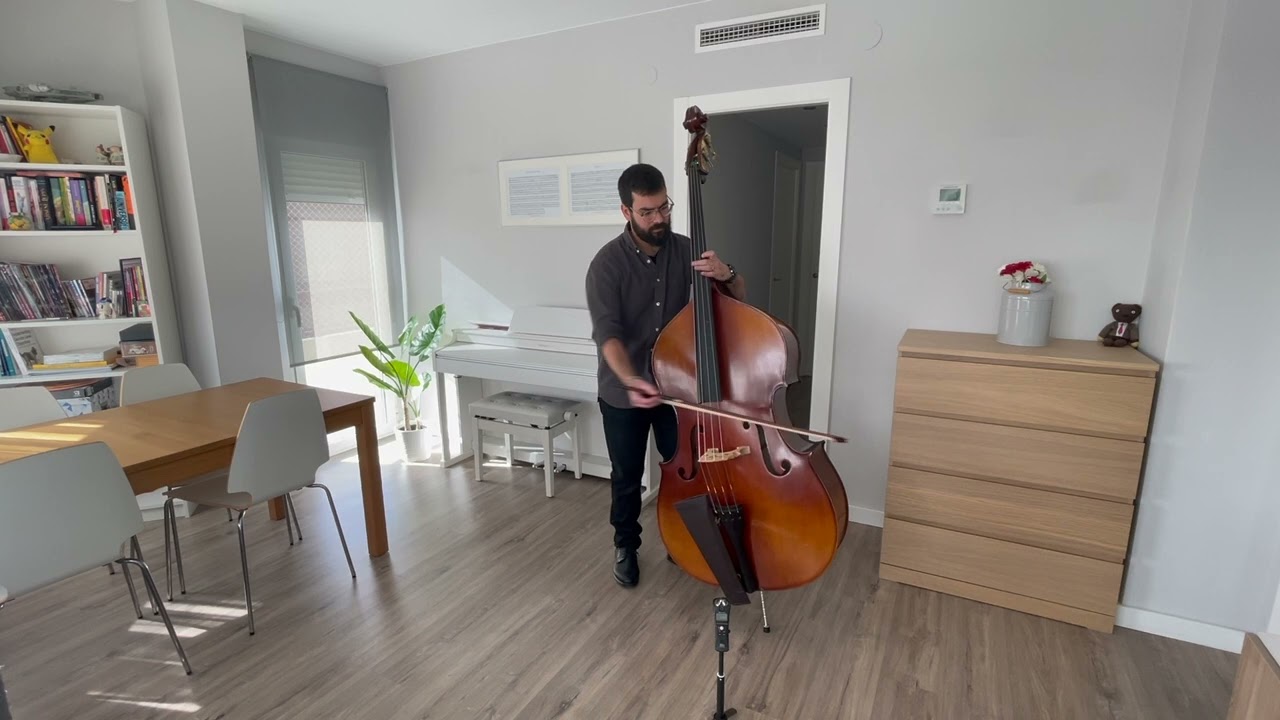 Sonatina in G Major - 1st mov - Arthur Olaf Andersen