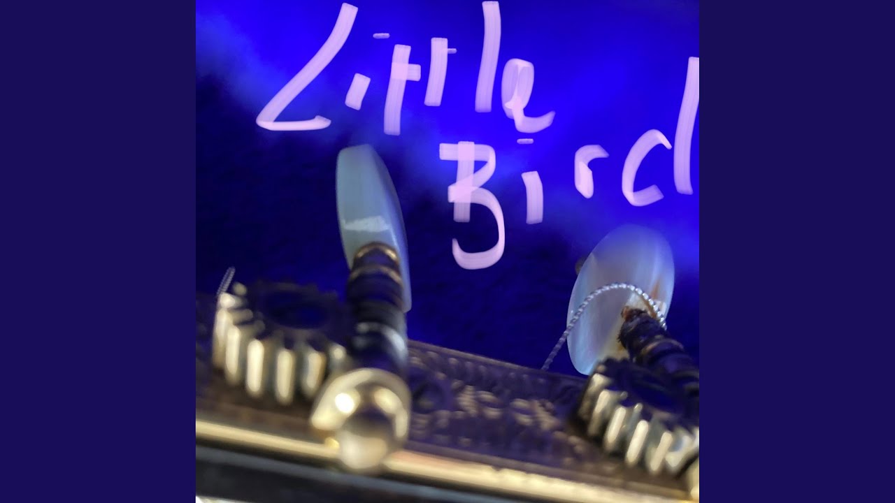 Little Bird