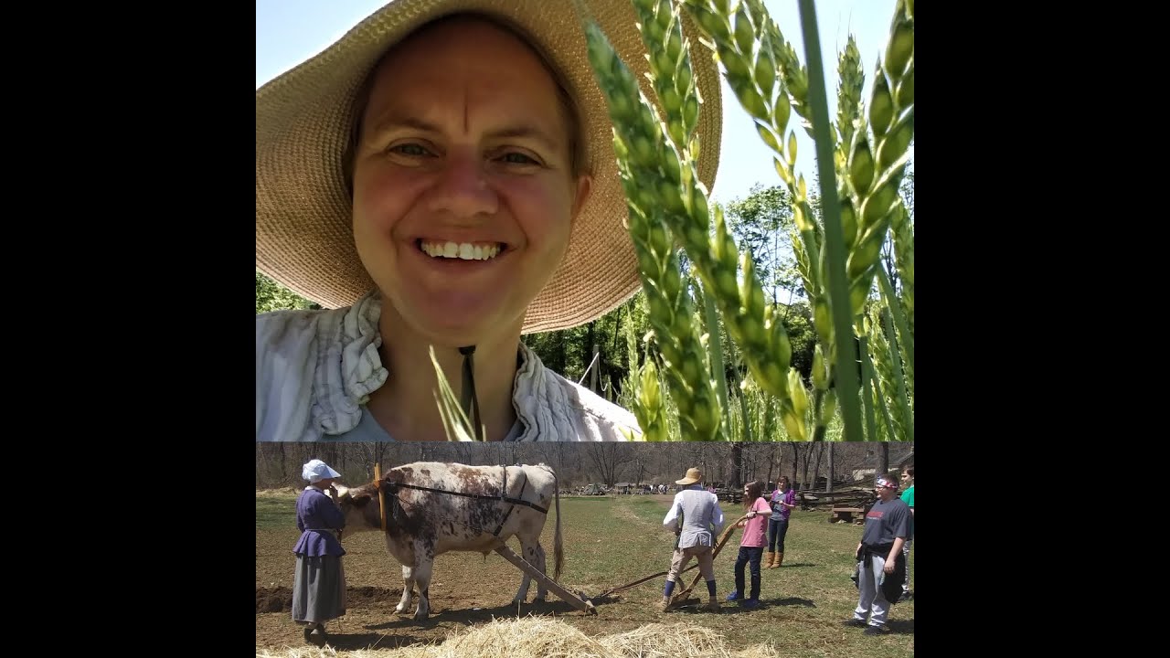Eva Mergen  - Putting Experimental Archaeology to use on Living History Farms and beyond