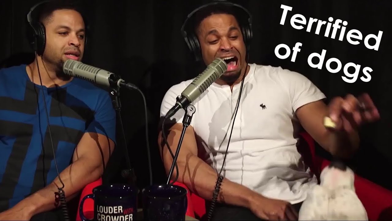 Hodgetwins Getting Scared [#2]