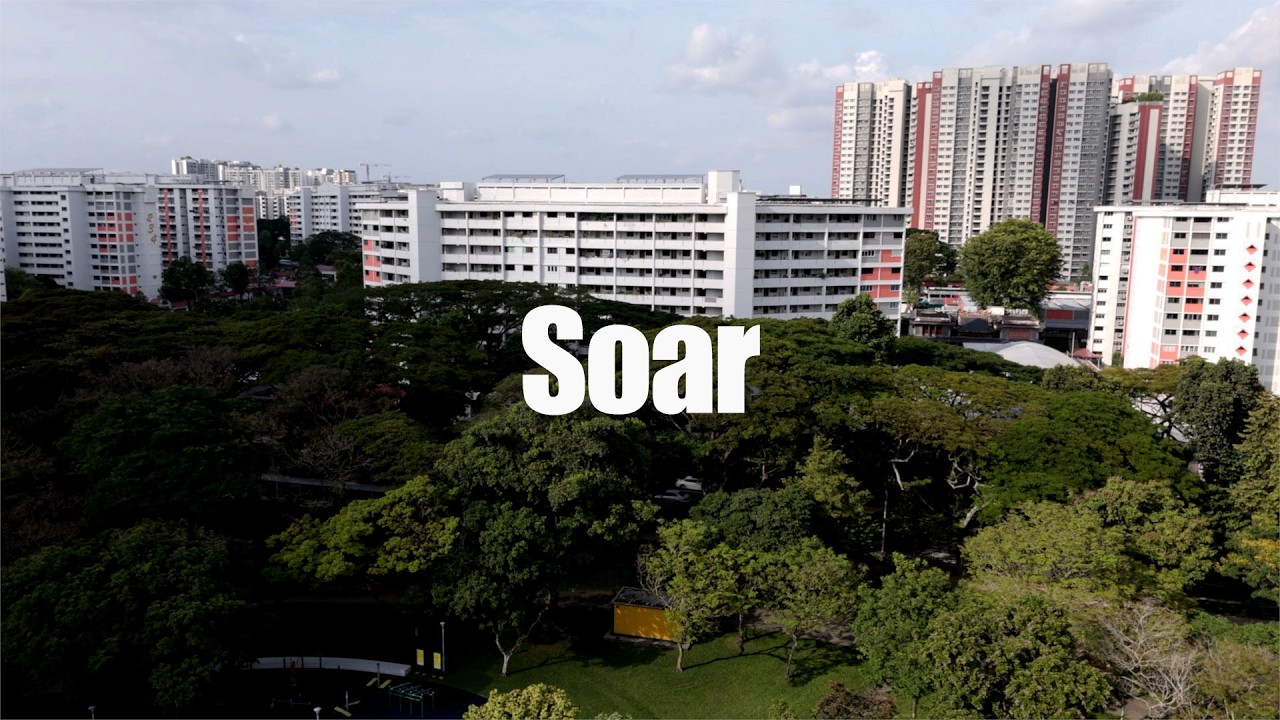 Soar | A Different Perspective