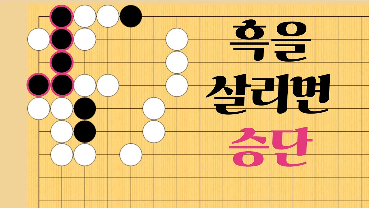 쉬운 바둑 사활 - 묘수로 흑을 살려보세요