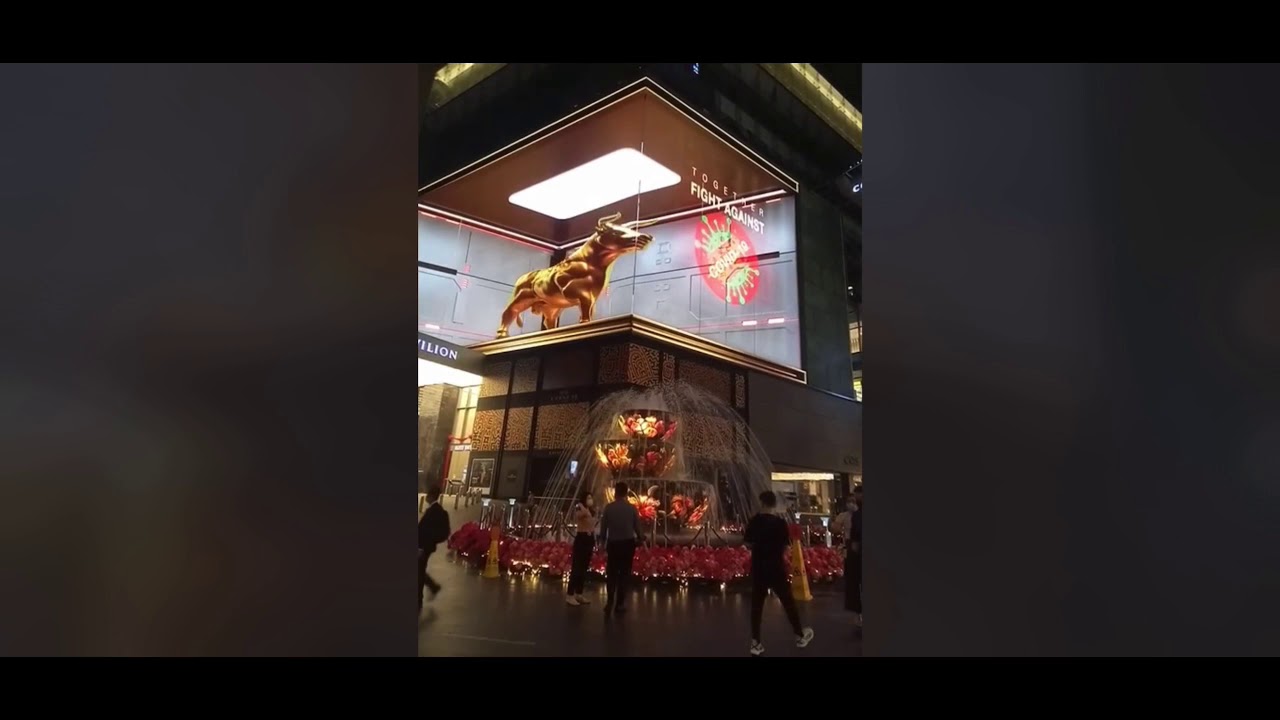 Amazing 3D Ox Display in China Wow 2021