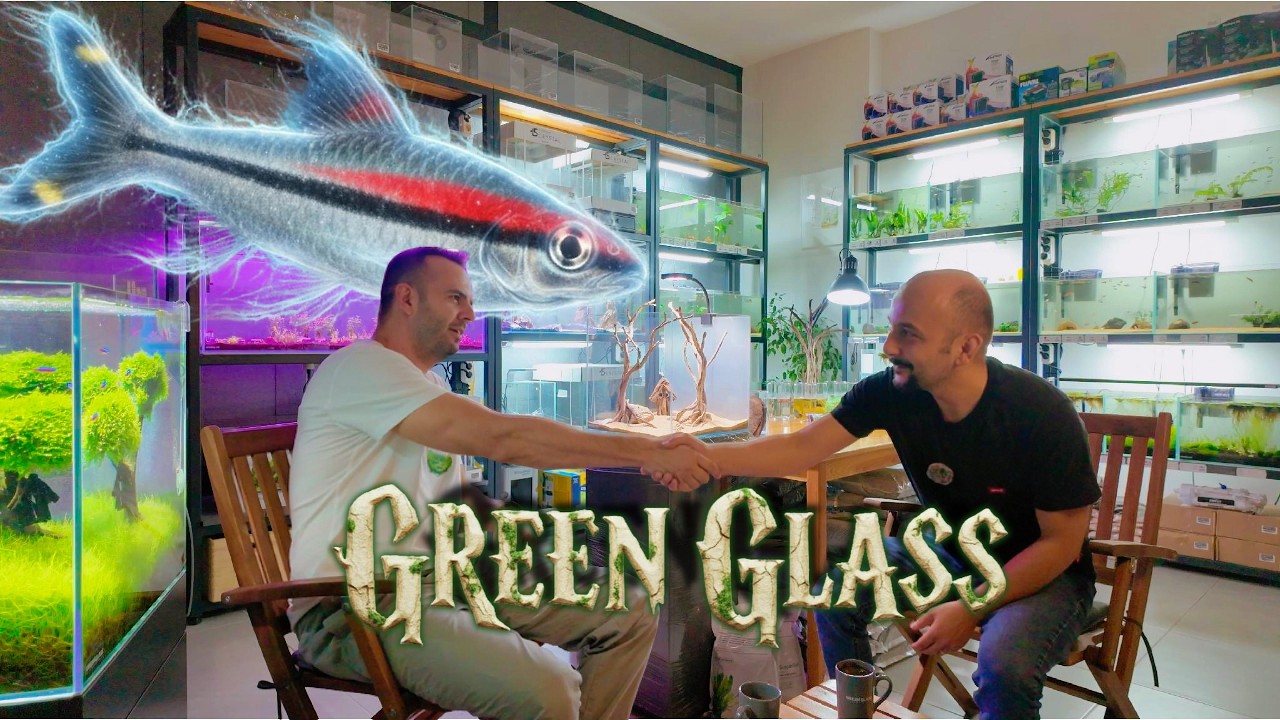 PATRONUS #1 | Green Glass Nature Aquarium – Аркун Акар