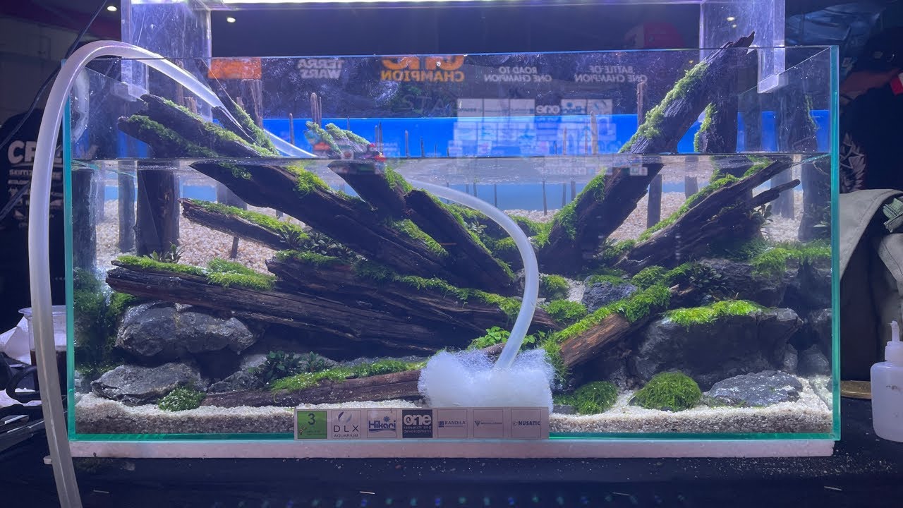 🔴 [LIVE] ONE Champion Aquascape Contest - Part 2