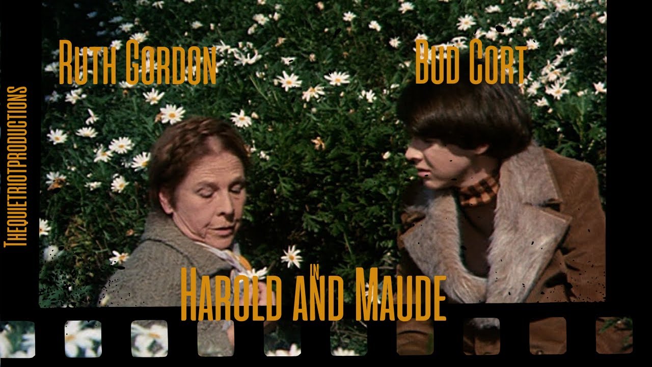 From Critical Failure to Cult Darling: Harold and Maude