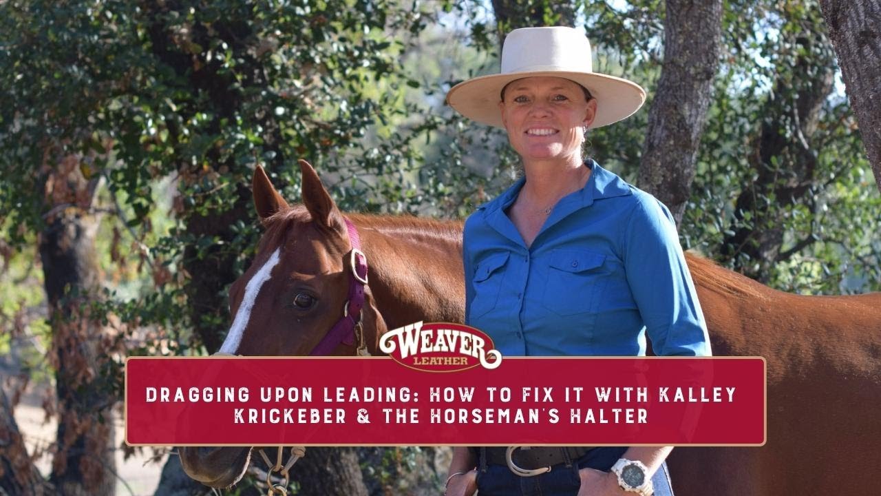 Dragging Upon Leading: How to Fix it with Kalley Krickeberg & the Horseman's Halter