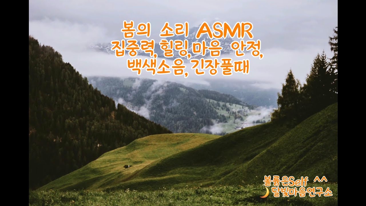 봄의 소리 ASMRㅣ힐링ㅣ명상ㅣ집중력 ㅣ긴장될때 듣는 소리
