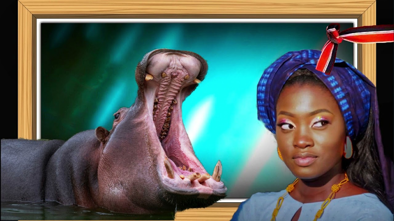 MALI SADIO Histoire VRAIE (Samba Demba DIADIE)