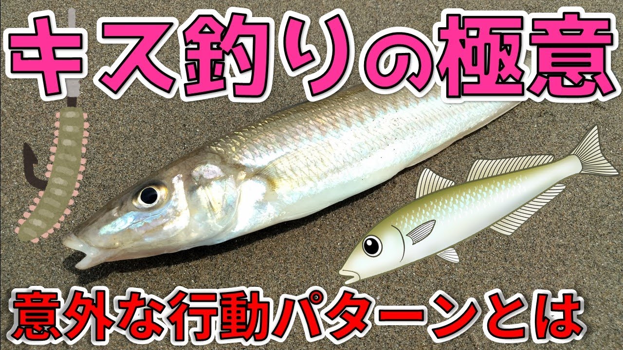 【キス釣りの極意】初心者必見！キス釣りの基本から応用まで徹底解説