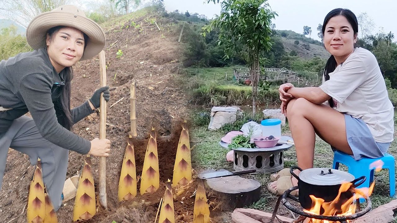 สาวลาว แกงหน่อไม้แช่บๆกินกับพ่อแม่