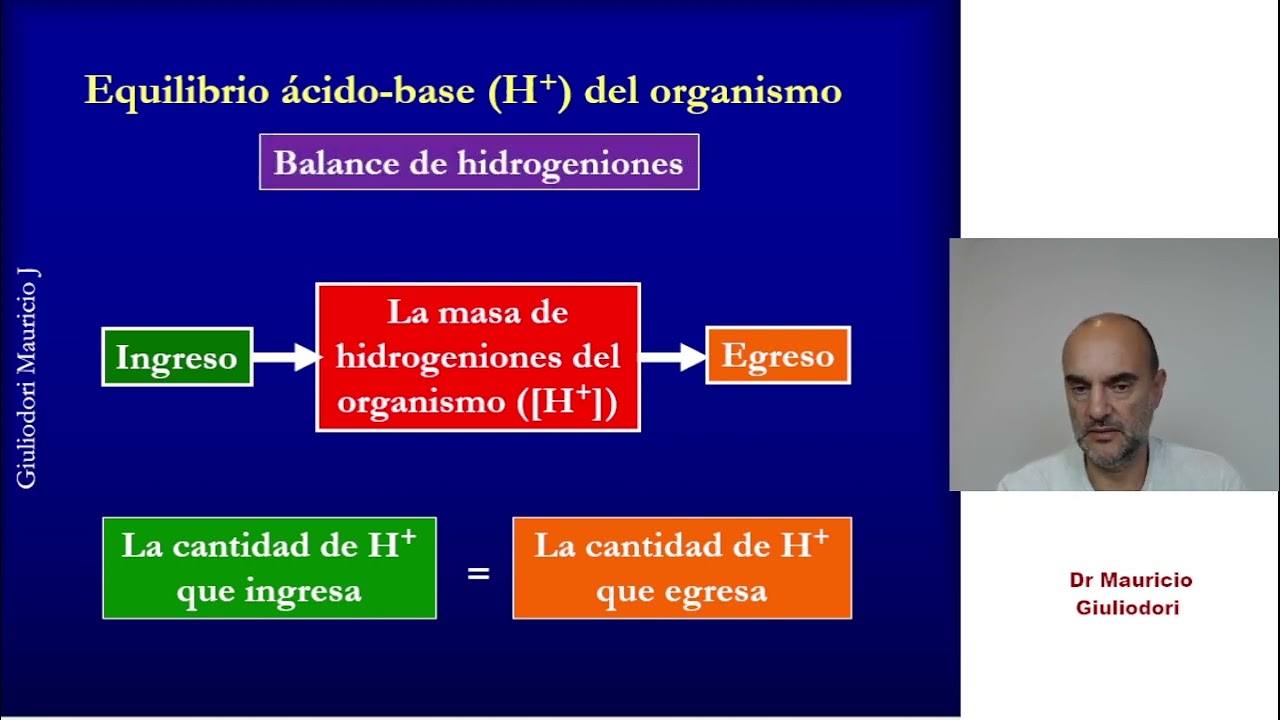 Principio fisiológico de equilibrio o de balance de masa ¿qué establece y para qué se usa?