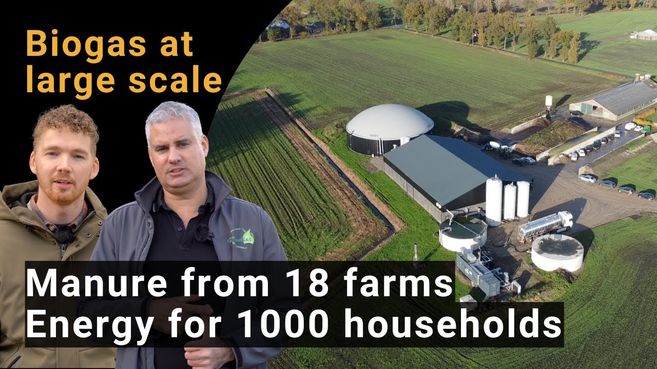 Groenewoud Gas: Large-Scale Biogas Production | Powering 1000 Homes with Biogas from Cow Manure