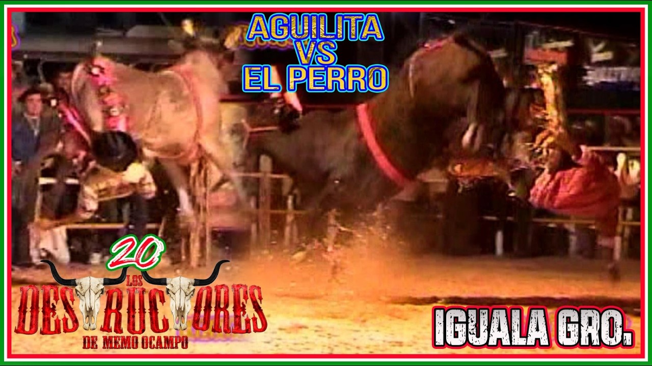 💥🔥❗️FESTEJANDO EL DIA DE LA BANDERA❗️🔥💥 | 🦅 AGUILITA VS EL PERRO 🐶 | 20 DESTRUCTORES EN IGUALA GRO.