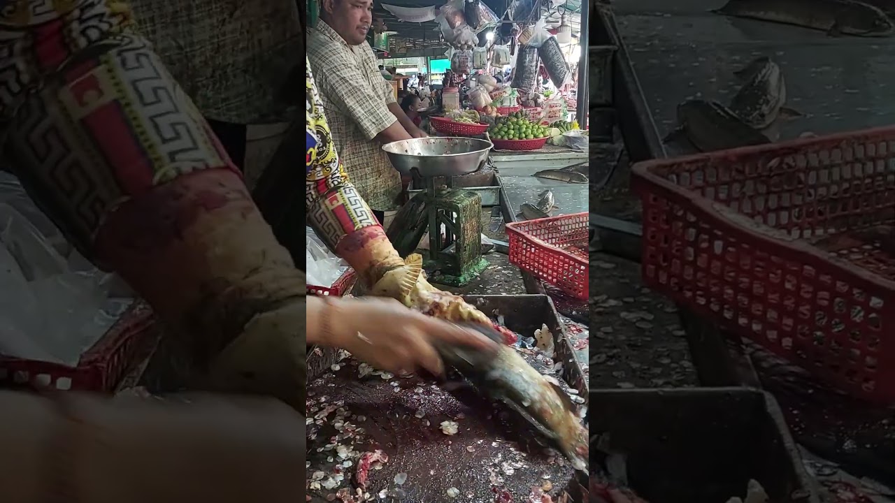 Southeast Asian fish handling techniques