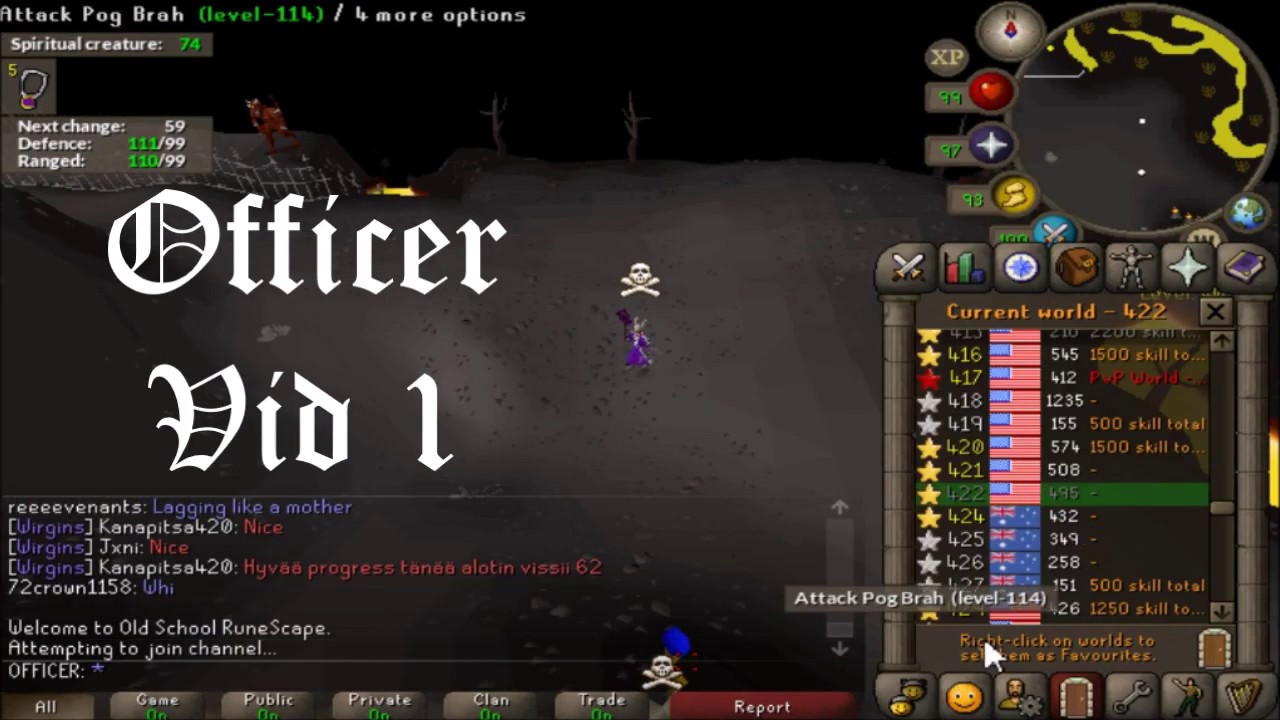Maxed Cmb NH Brid OSRS