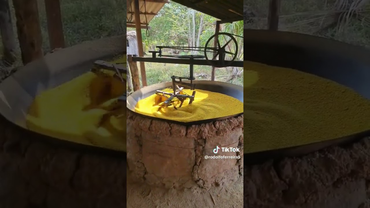 produ&ccedil;&atilde;o de farinha de mandioca