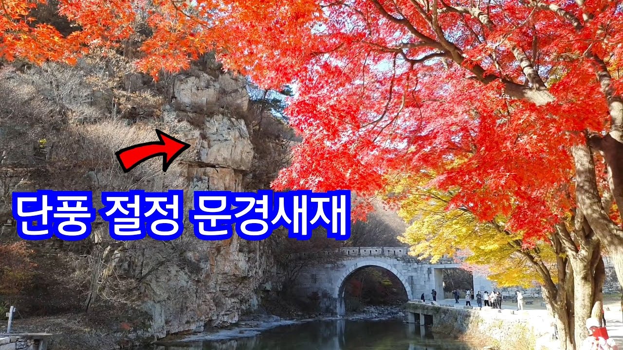 붉은 파도에 몸을 맡겨라. 문경새재 단풍 대폭발. 대중교통 | 당일여행