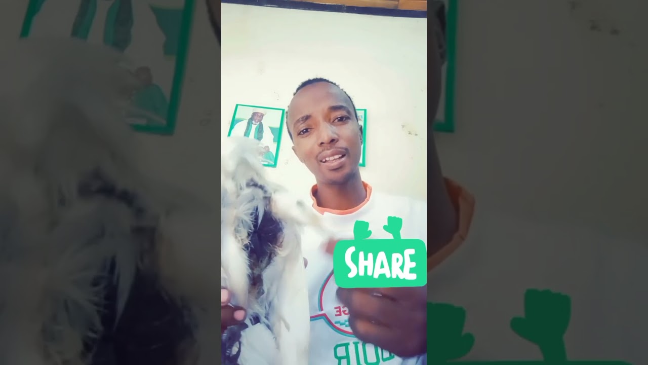 Manyan Sirrukan Balbela Malam muhamadu maiduguri
