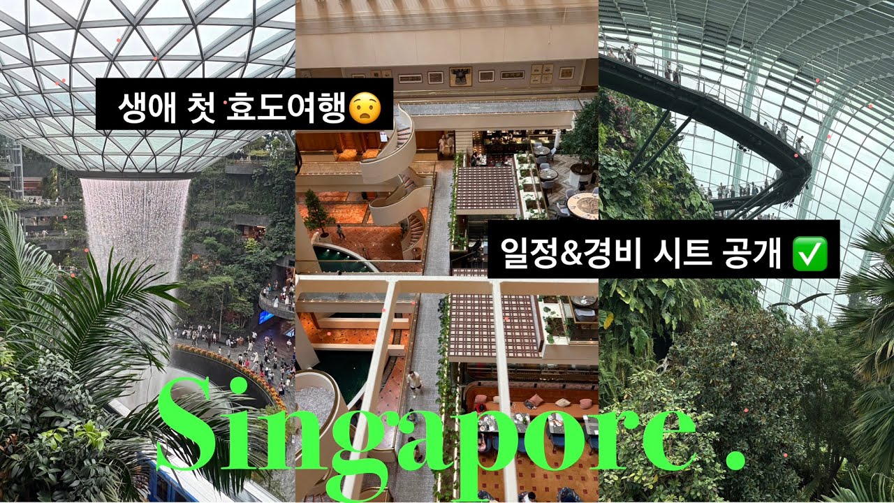 여행 vlog | 🇸🇬엄마아빠랑 하는 싱가포르 자유여행 코스(feat.가이드는 나) 점보 씨푸드 예약 팁 • 미리예약해야되는 것들✅ • 싱가포르 항공 후기 • 경비 구글맵 공개📍
