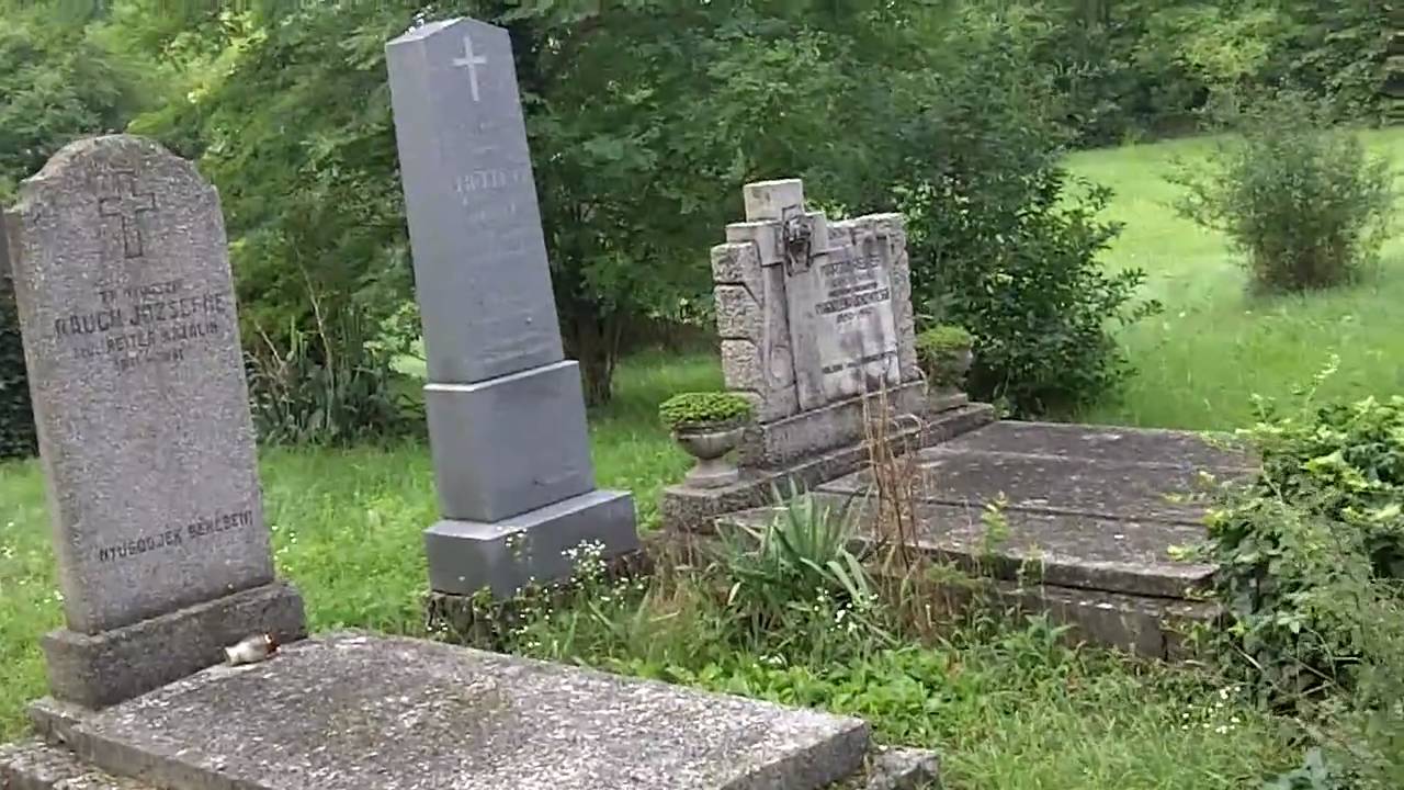 First vain search for the Winkler grave seen on the cemetery map in Mosonszentp&eacute;ter cemetery