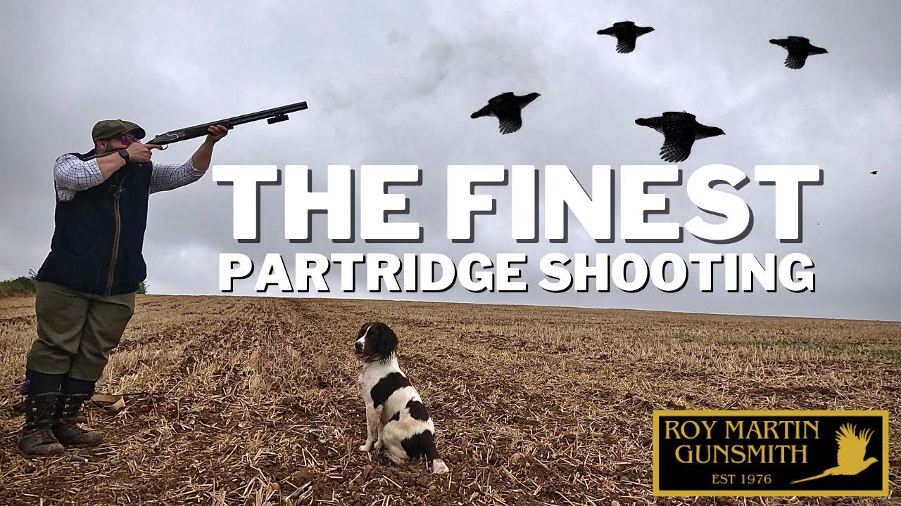Traditional British Partridge Shooting At Prestwold Hall | Partridge Hunt | September Wingshooting