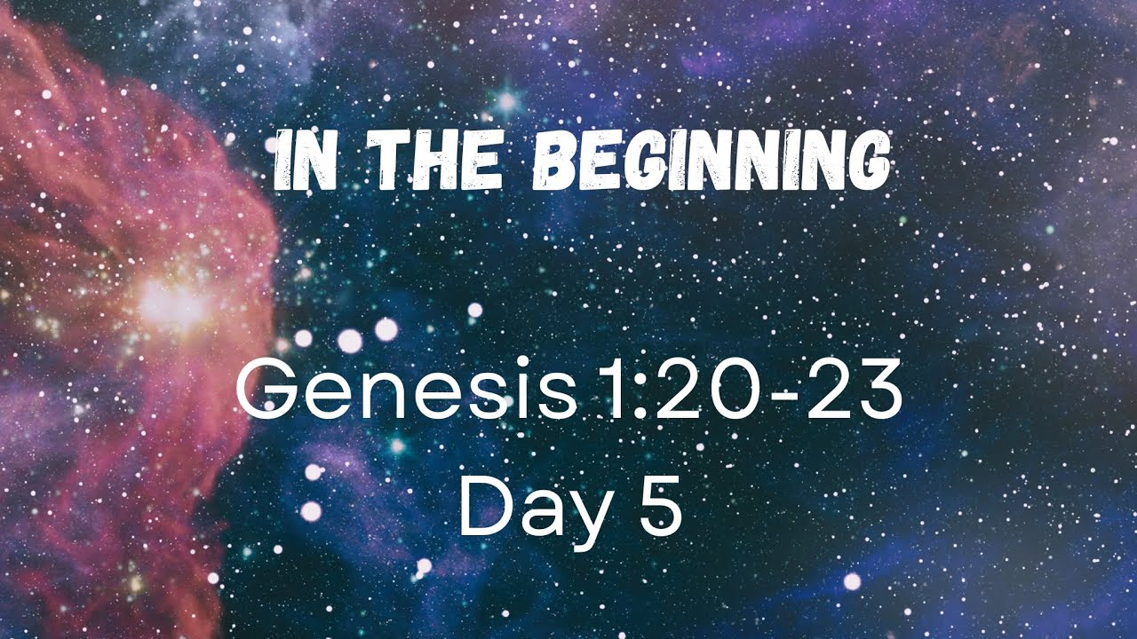 In the Beginning: Day 5 - Genesis 1:20-23 Hand Motions and Song - Classical Conversations 