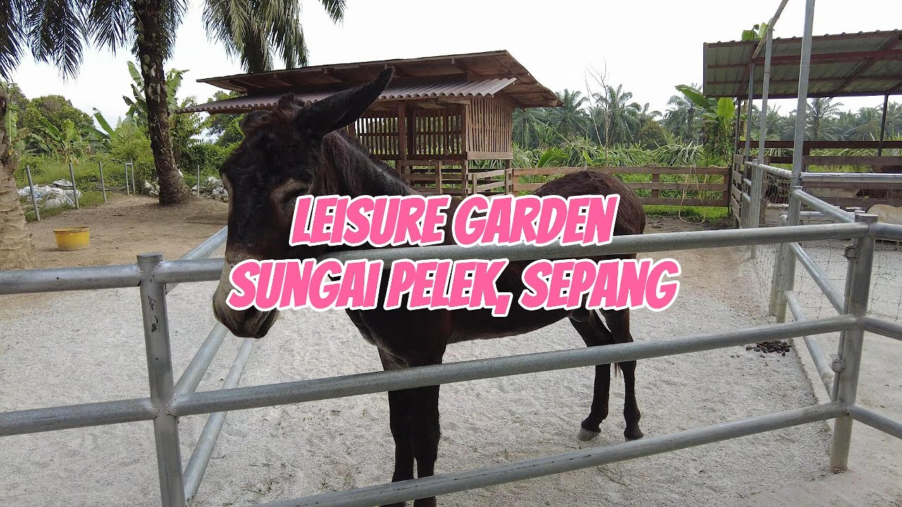 Leisure Garden Sepang - Mini Petting Zoo