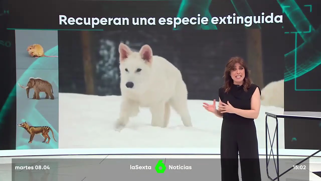 La Sexta Noticias: &ldquo;El lobo huargo&rdquo;. Opini&oacute;n de Fernando G. Sitges director de la Fundaci&oacute;n BIOPARC