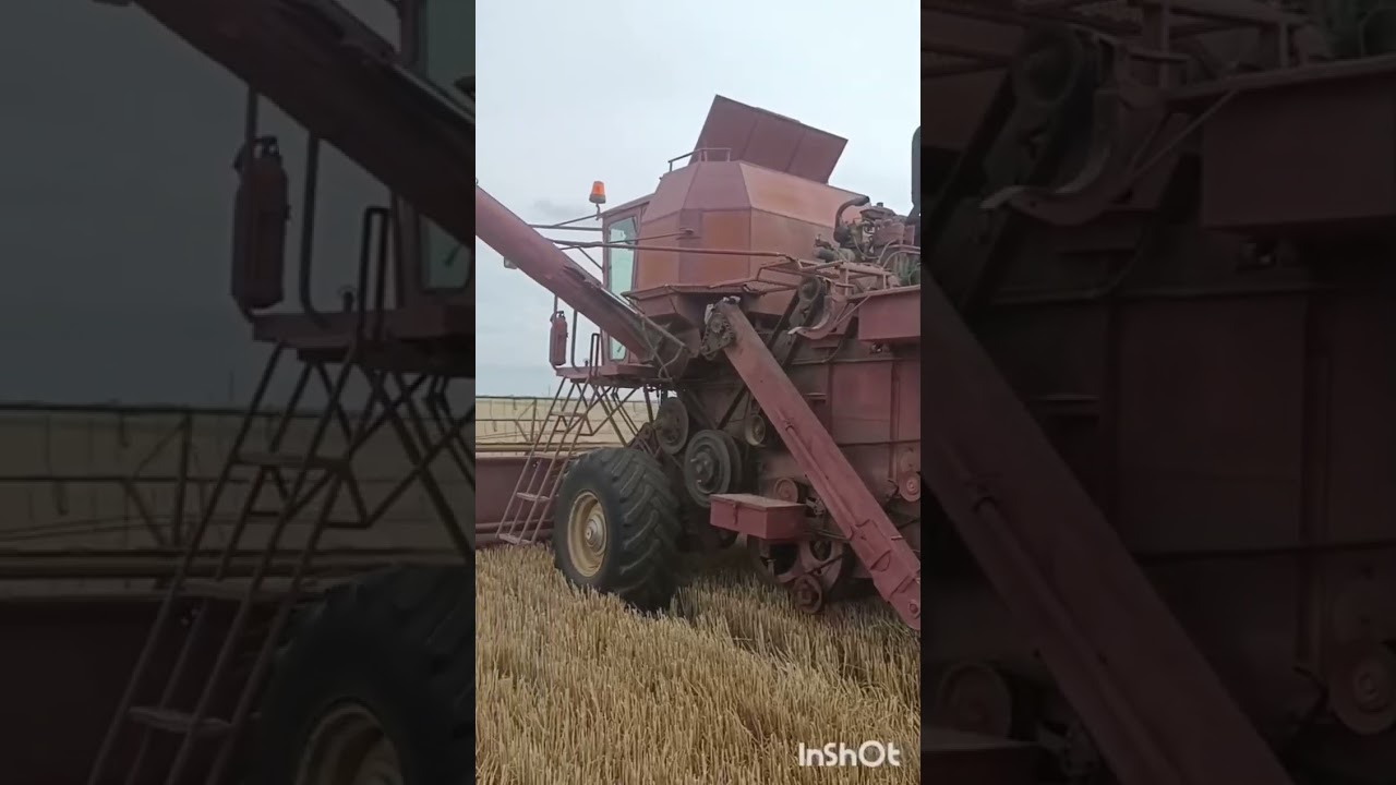 Уборка пшеницы 2023. Модернизация комбайна нива!