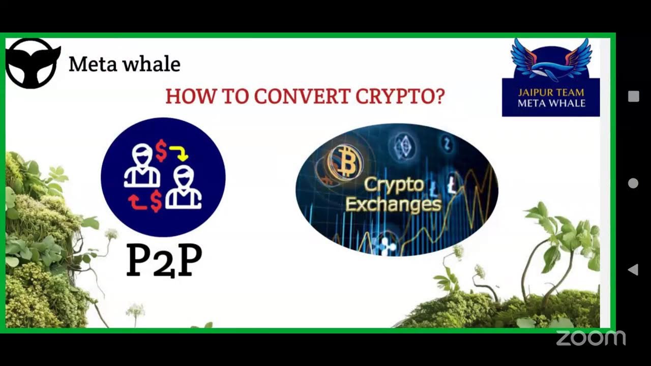 **14/02/2026 Meta Whale ecosystem plan presentation*