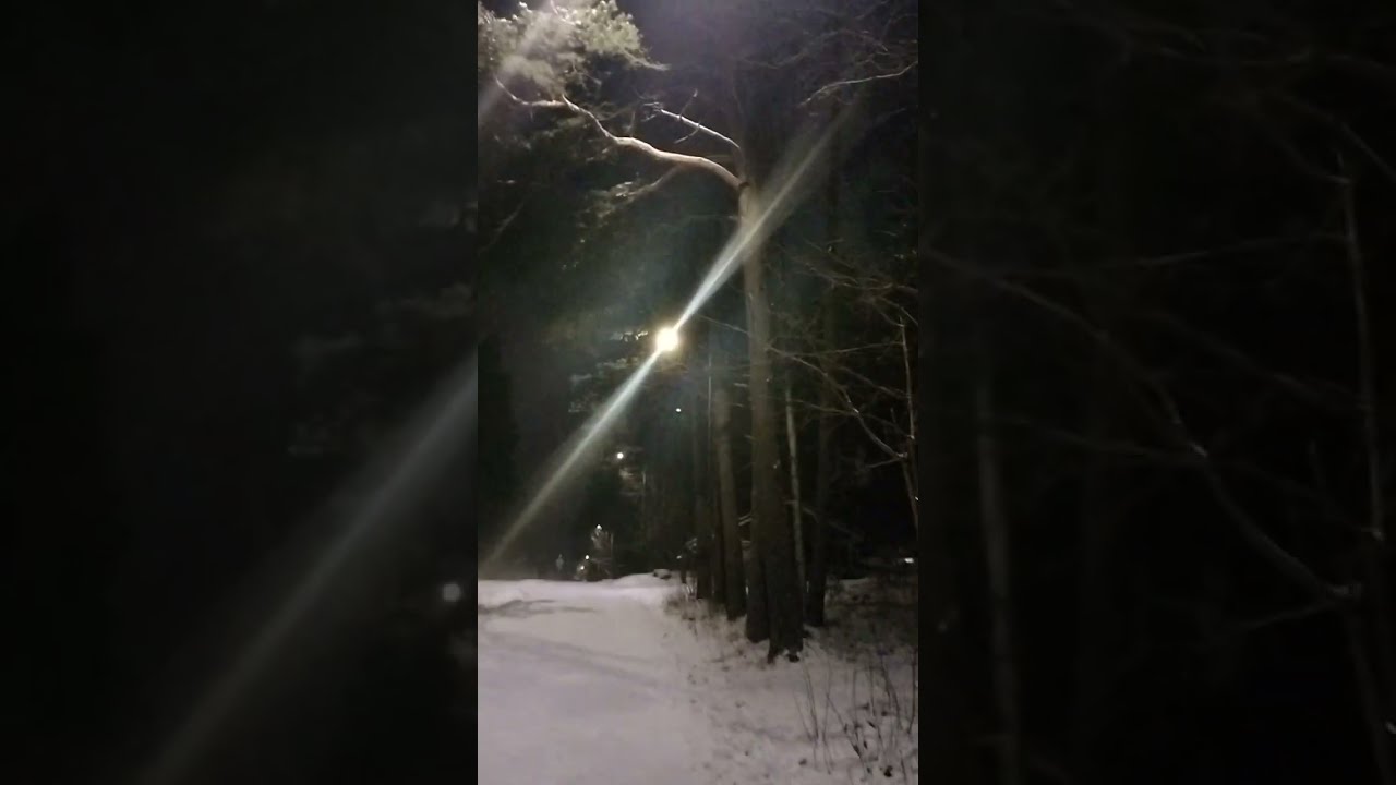 3 AM Night Walk - 4.1.2026