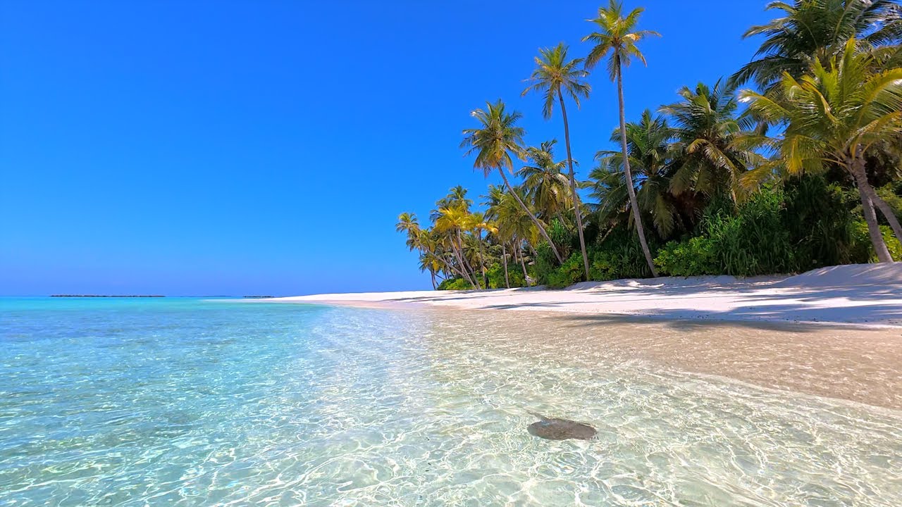 🏝 Paradise Found: Maldives Beach and Crystal Turquoise Waters. Ocean 4K Ultra HD