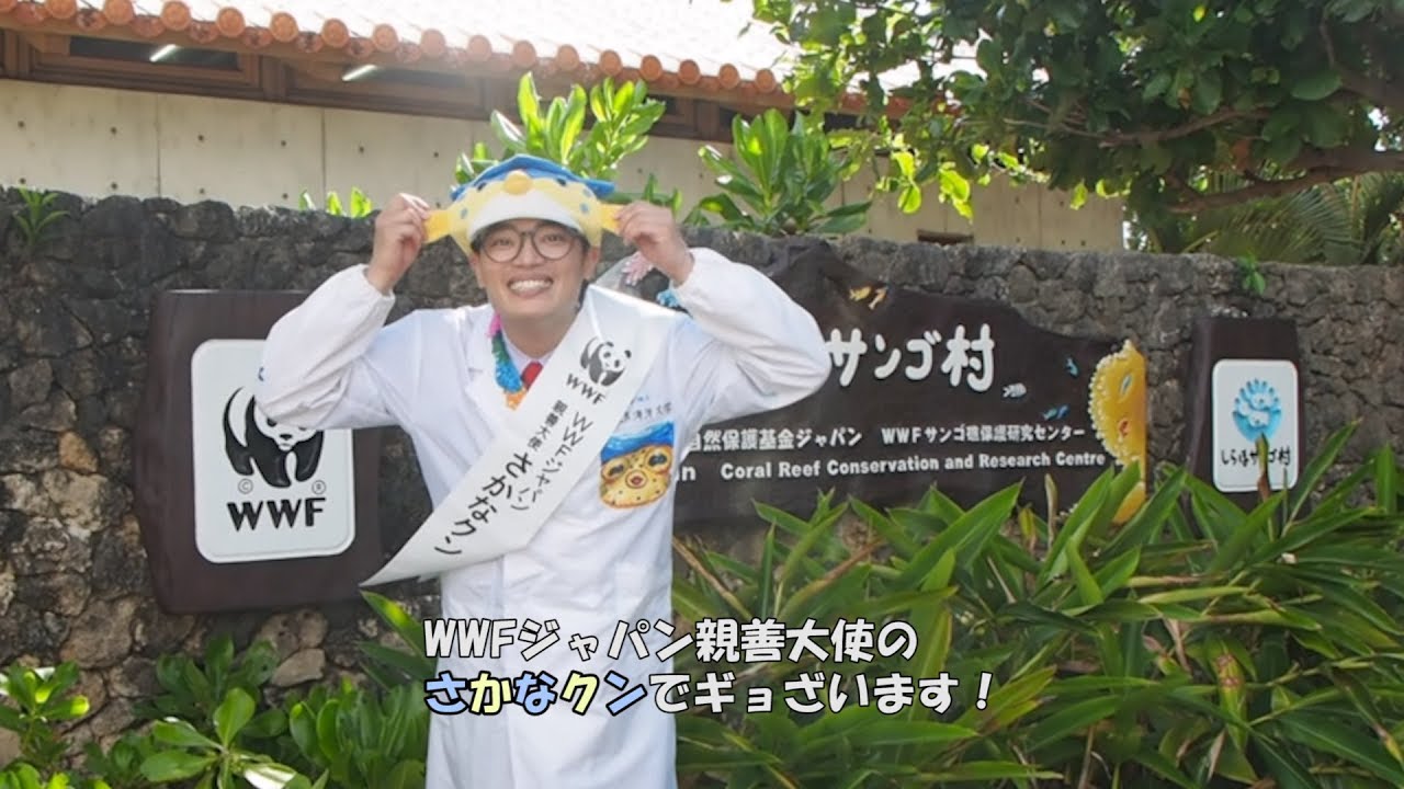 1日センター長のさかなクンがギョ紹介する「しらほサンゴ村」