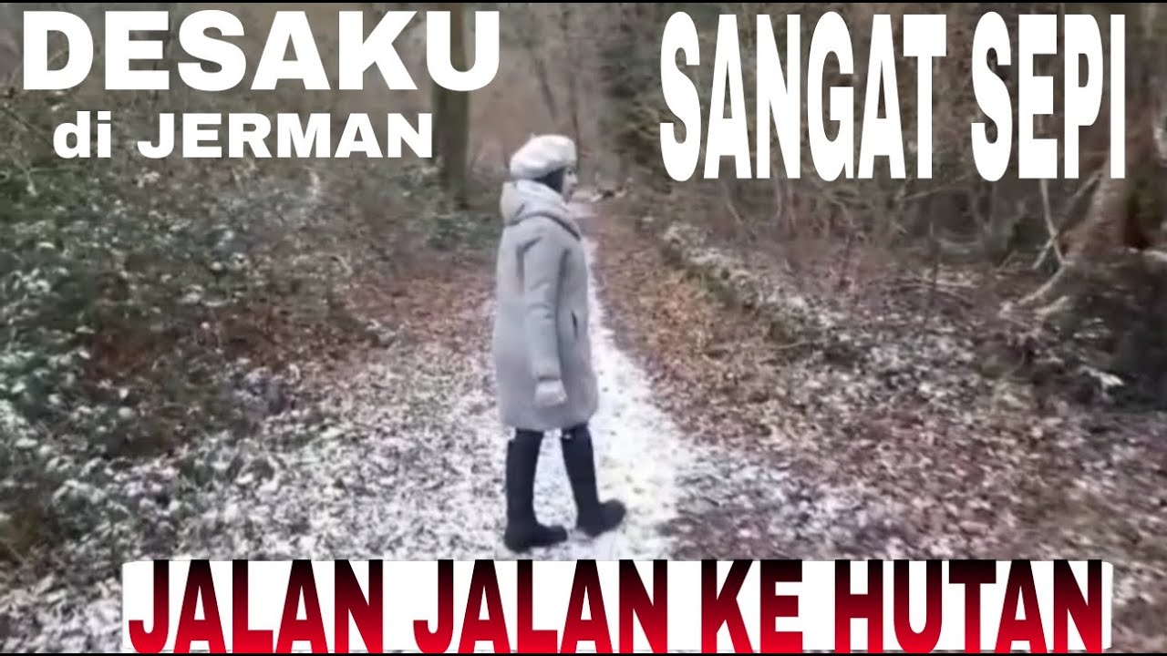 JALAN JALAN KE HUTAN MELEWATI PETERNAKAN SAPI DAN AYAM