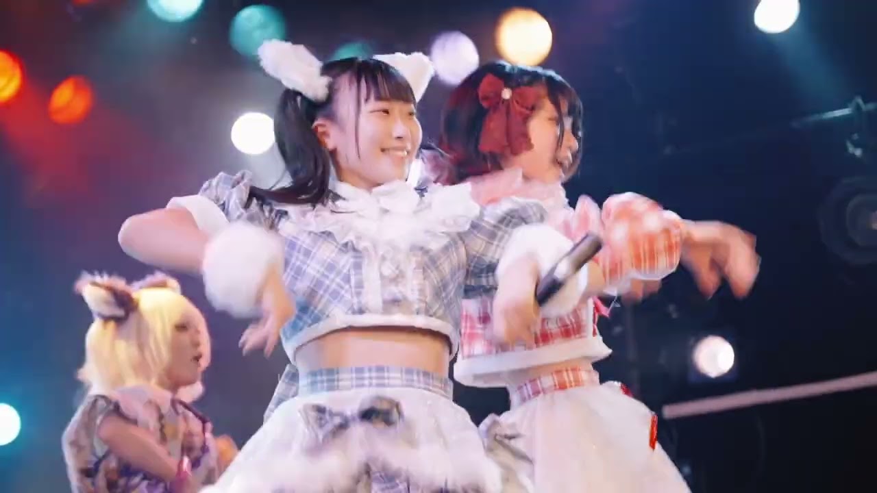 絶望のポメラニアン - ワンツーさんでポンッ！(LIVE MOVIE)