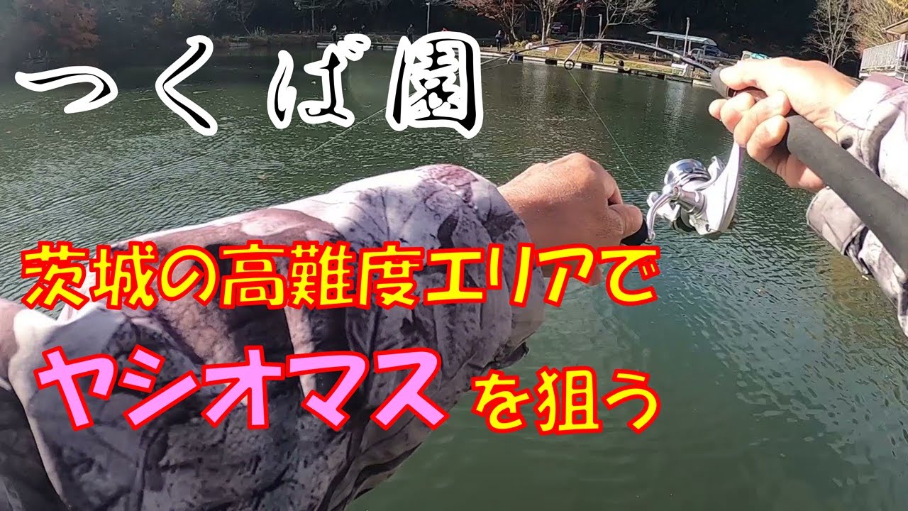 茨城県の高難度エリア「つくば園」でヤシオマスを狙う【エリアトラウト】