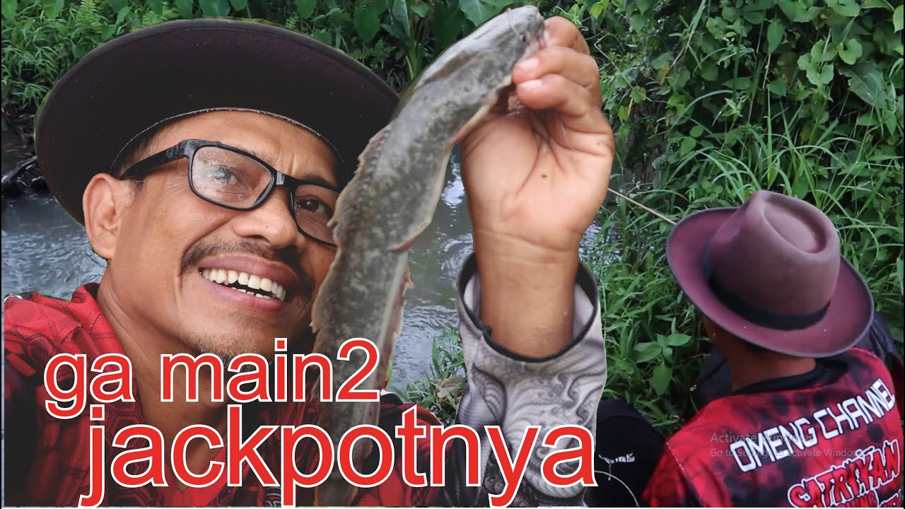 Gacor banget !! Ga' nyangka di spot irigasi satu kali plung langsung jackpotnya yg makan umpan